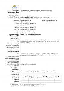 Modelo de Curriculum Vitae Europass grátis para Download